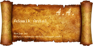 Adamik Antal névjegykártya